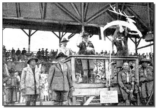 1933-wj4-bp-&-white-stag.jpg (57807 bytes)
