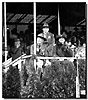 link-1937-wj5-bp-queen-&-princes.jpg (11069 bytes)