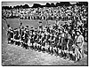 link-1937-wj5-wolf-cubs.jpg (15297 bytes)